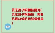 灵芝孢子粉颗粒图片(灵芝孢子粉颗粒：拥有抗菌功效的天然保健品)