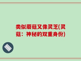 类似蘑菇又像灵芝(灵菇：神秘的双重身份)