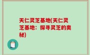 天仁灵芝基地(天仁灵芝基地：探寻灵芝的奥秘)