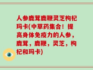 人参鹿茸鹿鞭灵芝枸杞玛卡(中草药集合！提高身体免疫力的人参，鹿茸，鹿鞭，灵芝，枸杞和玛卡)