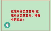 红瑶乌方灵芝首乌(红瑶乌方灵芝首乌：神奇中药组合)