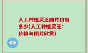 人工种植灵芝图片价格多少(人工种植灵芝：价格与图片欣赏)