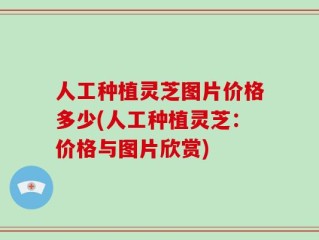 人工种植灵芝图片价格多少(人工种植灵芝：价格与图片欣赏)