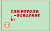 灵芝孢(神奇的灵芝孢，一种宝藏级的天然药材)