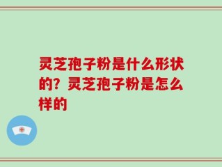 灵芝孢子粉是什么形状的？灵芝孢子粉是怎么样的