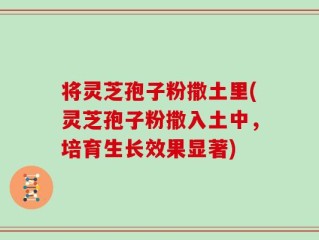 将灵芝孢子粉撒土里(灵芝孢子粉撒入土中，培育生长效果显著)