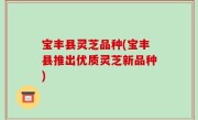 宝丰县灵芝品种(宝丰县推出优质灵芝新品种)