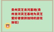 贵州灵芝青河基地(贵州青河灵芝基地为灵芝爱好者提供独特的游览体验)
