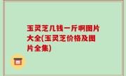 玉灵芝几钱一斤啊图片大全(玉灵芝价格及图片全集)
