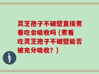 灵芝孢子不破壁直接煮着吃会吸收吗 (煮着吃灵芝孢子不破壁能否被充分吸收？)