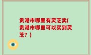 贵港市哪里有灵芝卖(贵港市哪里可以买到灵芝？)