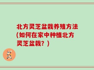 北方灵芝盆栽养殖方法(如何在家中种植北方灵芝盆栽？)