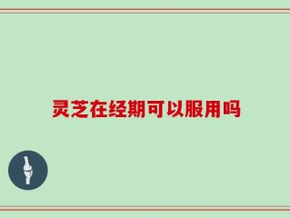 灵芝在经期可以服用吗