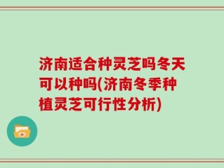 济南适合种灵芝吗冬天可以种吗(济南冬季种植灵芝可行性分析)