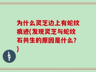 为什么灵芝边上有蛇纹痕迹(发现灵芝与蛇纹石共生的原因是什么？)