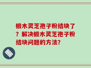 椴木灵芝孢子粉结块了？解决椴木灵芝孢子粉结块问题的方法？