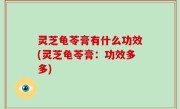 灵芝龟苓膏有什么功效(灵芝龟苓膏：功效多多)
