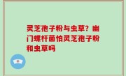 灵芝孢子粉与虫草？幽门螺杆菌怕灵芝孢子粉和虫草吗