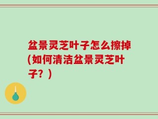 盆景灵芝叶子怎么擦掉(如何清洁盆景灵芝叶子？)