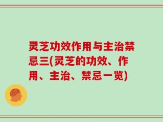 灵芝功效作用与主治禁忌三(灵芝的功效、作用、主治、禁忌一览)