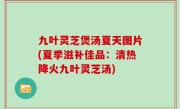 九叶灵芝煲汤夏天图片(夏季滋补佳品：清热降火九叶灵芝汤)