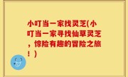 小叮当一家找灵芝(小叮当一家寻找仙草灵芝，惊险有趣的冒险之旅！)