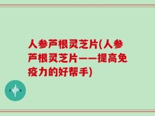 人参芦根灵芝片(人参芦根灵芝片——提高免疫力的好帮手)