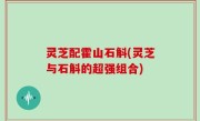 灵芝配霍山石斛(灵芝与石斛的超强组合)