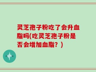 灵芝孢子粉吃了会升血脂吗(吃灵芝孢子粉是否会增加血脂？)
