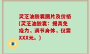 灵芝油胶囊图片及价格(灵芝油胶囊：提高免疫力，调节身体，仅需XXX元。)