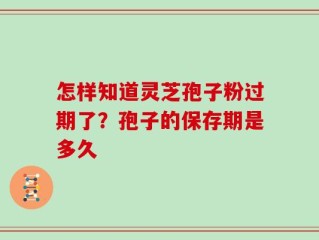 怎样知道灵芝孢子粉过期了？孢子的保存期是多久
