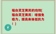 薤白灵芝黄芪的功效(薤白灵芝黄芪：增强免疫力，提高身体抵抗力！)