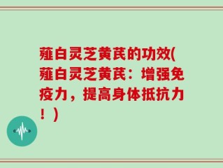 薤白灵芝黄芪的功效(薤白灵芝黄芪：增强免疫力，提高身体抵抗力！)
