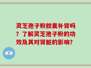 灵芝孢子粉胶囊补肾吗？了解灵芝孢子粉的功效及其对肾脏的影响？