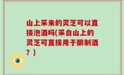 山上采来的灵芝可以直接泡酒吗(采自山上的灵芝可直接用于酿制酒？)