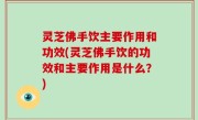 灵芝佛手饮主要作用和功效(灵芝佛手饮的功效和主要作用是什么？)