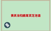 黄芪当归鹿茸灵芝泡酒