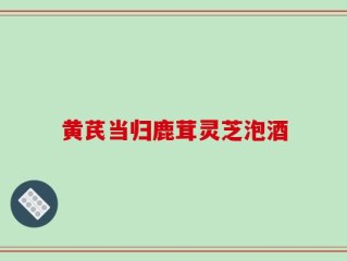 黄芪当归鹿茸灵芝泡酒