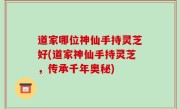 道家哪位神仙手持灵芝好(道家神仙手持灵芝，传承千年奥秘)