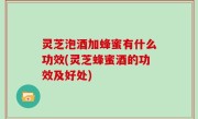 灵芝泡酒加蜂蜜有什么功效(灵芝蜂蜜酒的功效及好处)