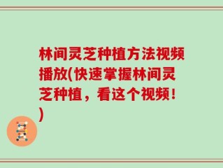 林间灵芝种植方法视频播放(快速掌握林间灵芝种植，看这个视频！)