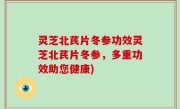 灵芝北芪片冬参功效灵芝北芪片冬参，多重功效助您健康)