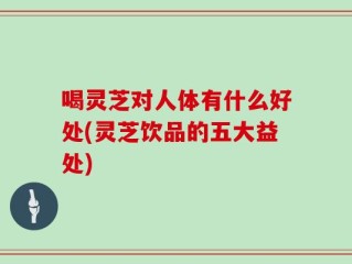 喝灵芝对人体有什么好处(灵芝饮品的五大益处)