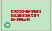 巨鹿灵芝种植时间最新信息(最新巨鹿灵芝种植时间表公布)