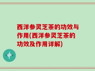 西洋参灵芝茶的功效与作用(西洋参灵芝茶的功效及作用详解)