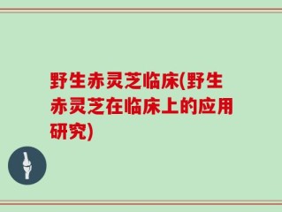 野生赤灵芝临床(野生赤灵芝在临床上的应用研究)