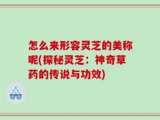 怎么来形容灵芝的美称呢(探秘灵芝：神奇草药的传说与功效)
