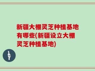 新疆大棚灵芝种植基地有哪些(新疆设立大棚灵芝种植基地)