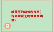 嵘灵芝的功效和作用(探索嵘灵芝的益处及功效)