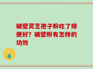 破壁灵芝孢子粉吃了排便好？破壁粉有怎样的功效
